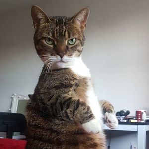 Meet your Posher, Gabriella